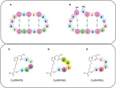 Are peptidomimetics the compounds of choice for developing new modulators of the JAK-STAT pathway?